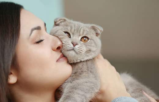 woman-snuggles-gray-scottish-fold-cat-SW
